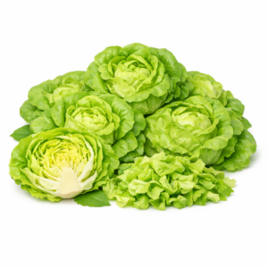 Zelena salata puterica - kom